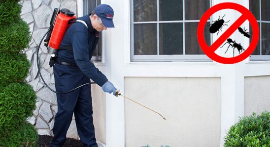 Salıpazarı Bit İlaçlama böcek ilaçlama ve haşere kontrolü — ilaclama-tr.com